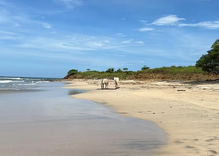 Tropical House Relaxation With Private Pool Santa Cruz (Guanacaste)