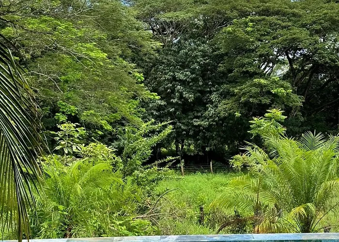 Tropical House Relaxation With Private Pool Hébergement de vacances *